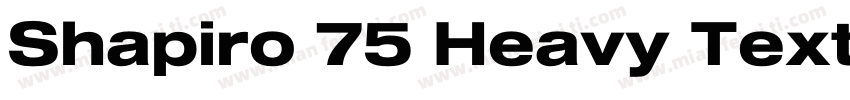 Shapiro 75 Heavy Text字体转换